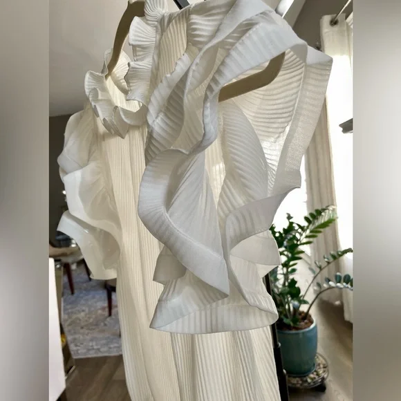 Ruffled Top - Picture 4 of 9